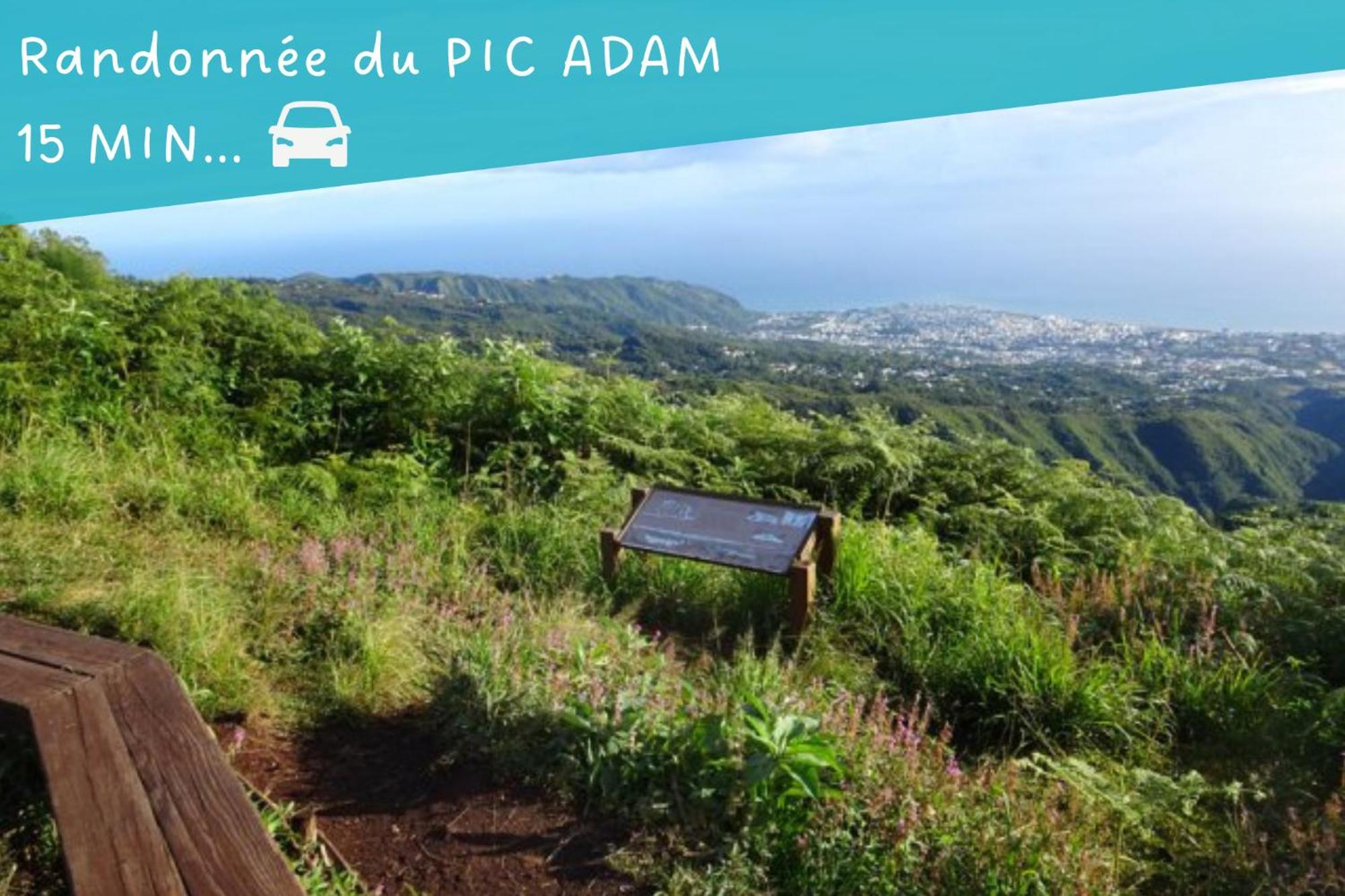 Entree Autonome-Ste Clotilde-Parking Apartment Saint-Denis Ngoại thất bức ảnh